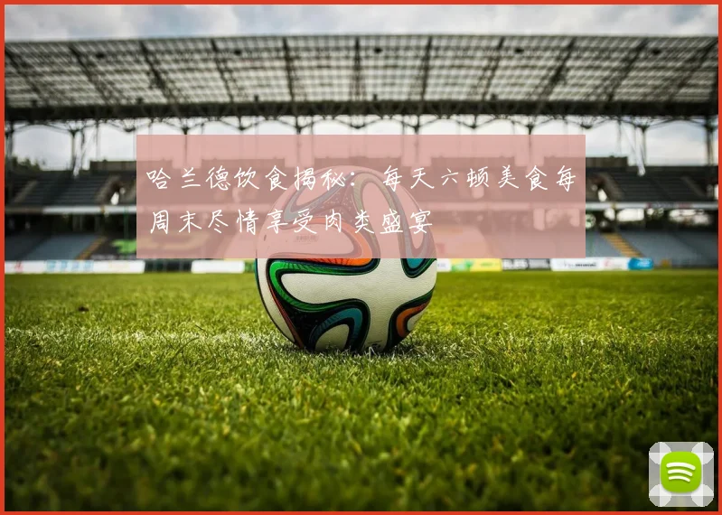 哈兰德饮食揭秘：每天六顿美食每周末尽情享受肉类盛宴