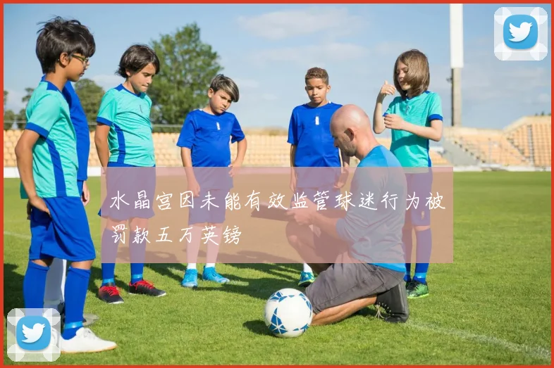 水晶宫因未能有效监管球迷行为被罚款五万英镑