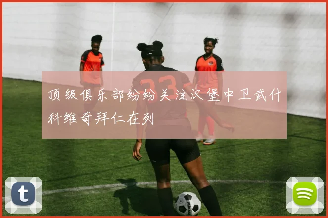 顶级俱乐部纷纷关注汉堡中卫武什科维奇拜仁在列