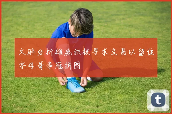 文胖分析雄鹿积极寻求交易以留住字母哥争冠拼图